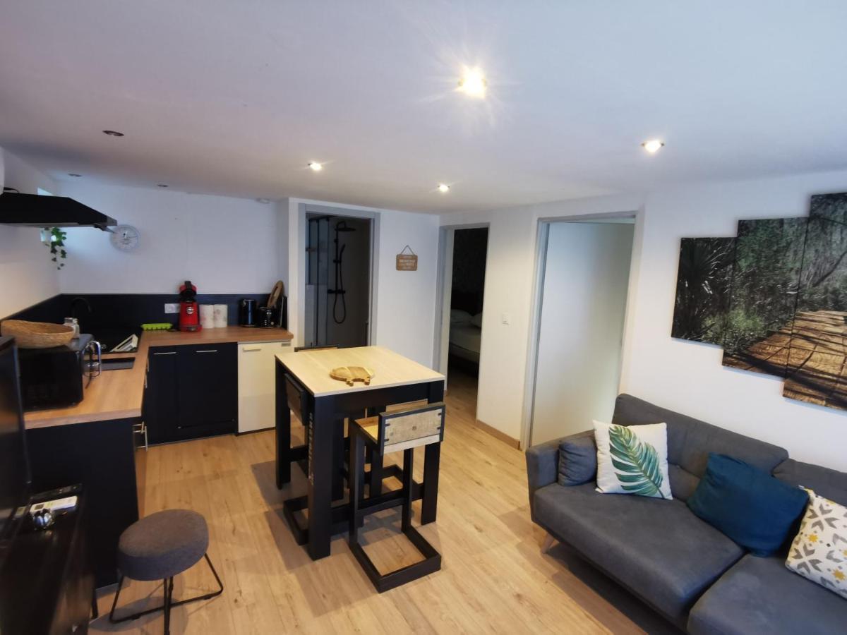 Gite 2 Chambres Avec Piscine Sernhac Buitenkant foto